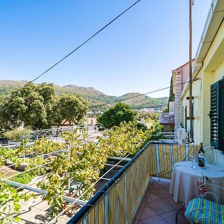זאטון Apartments Lidija מראה חיצוני תמונה