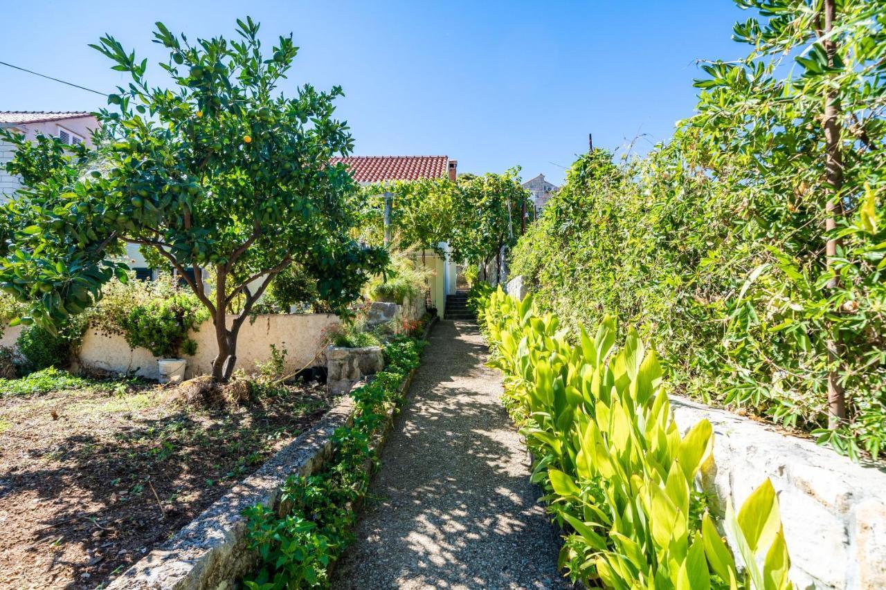 זאטון Apartments Lidija מראה חיצוני תמונה